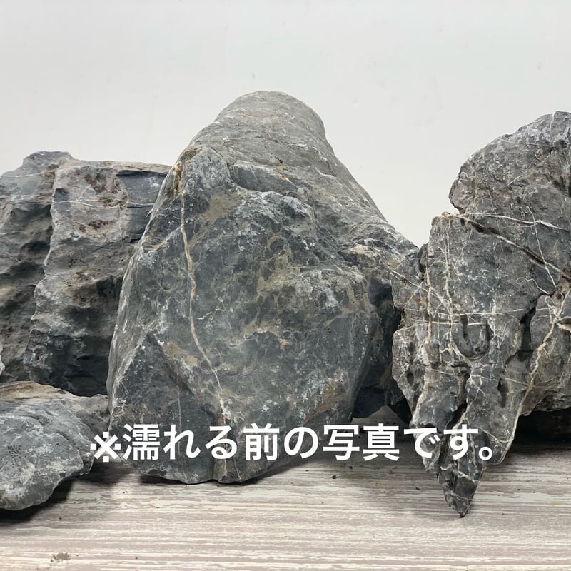 青龍石・大小MIX （大3kg＋ミニ1kg）セット | 流木専門店のアクア