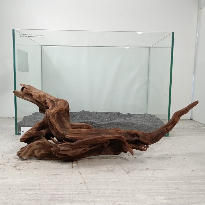 マングローブ系流木 Lサイズ オンリーワン ☆現物撮影 1点 No.1517(W約