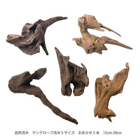 CATEGORY Sサイズ | 流木専門店のアクアリバー/アクアリウム/グリーン