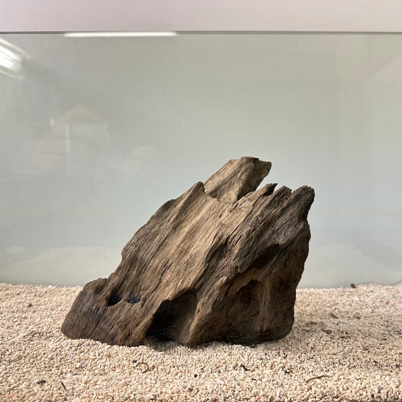 在庫限定】山型流木 オンリーワン ☆現物撮影 1点 No.5006 （約W19cm/23