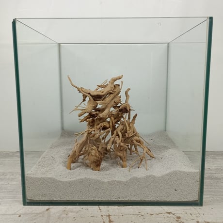 CATEGORY ブランチ系流木 | 流木専門店のアクアリバー/アクアリウム