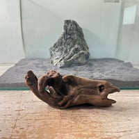 マングローブ系流木   MSサイズ(W約20cm)・オンリーワン ★現物撮影  1点　No.6327 （45cm水槽）