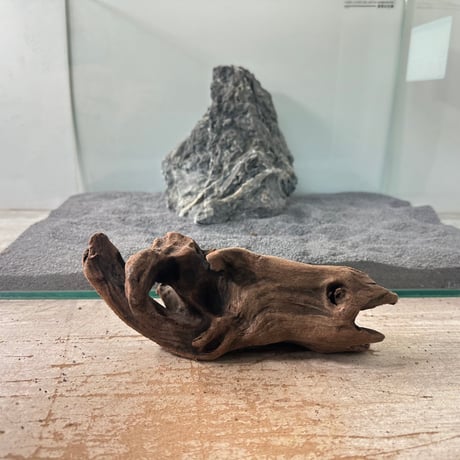 CATEGORY 30cm水槽サイズ | 流木専門店のアクアリバー/アクアリウム