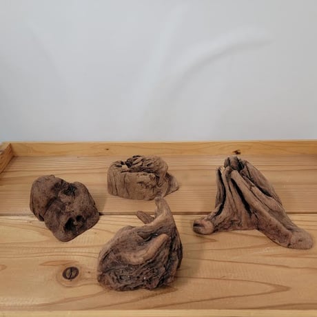 CATEGORY プチ | 流木専門店のアクアリバー/アクアリウム/グリーン