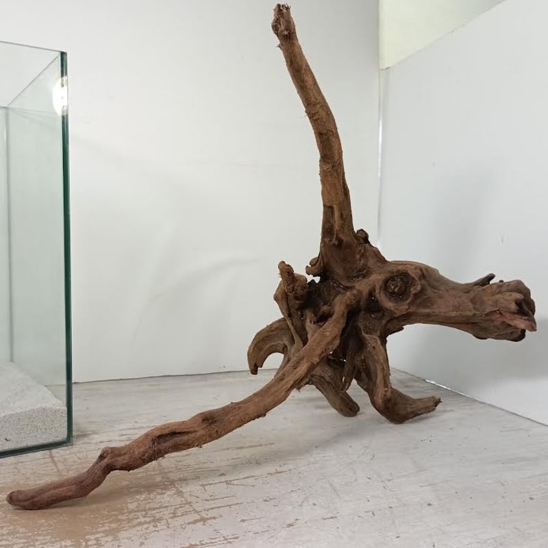 【一級品】No.394 大型流木　流木マンション 一級品】No.394 大型流木 流木マンション JAPAN