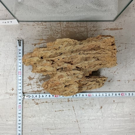 BIG気孔石　１点もの　No.1657（W約27cm)(30cm水槽）