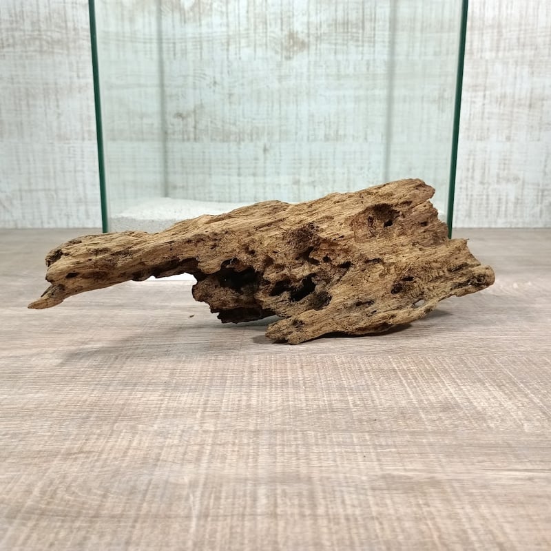 大型流木　完全には沈みません現在半年程度使用　馳物必要！最初画像にて！　流木　現在使用中 大型流木 完全には沈みません現在半年程度使用 馳物必要！最初画像にて
