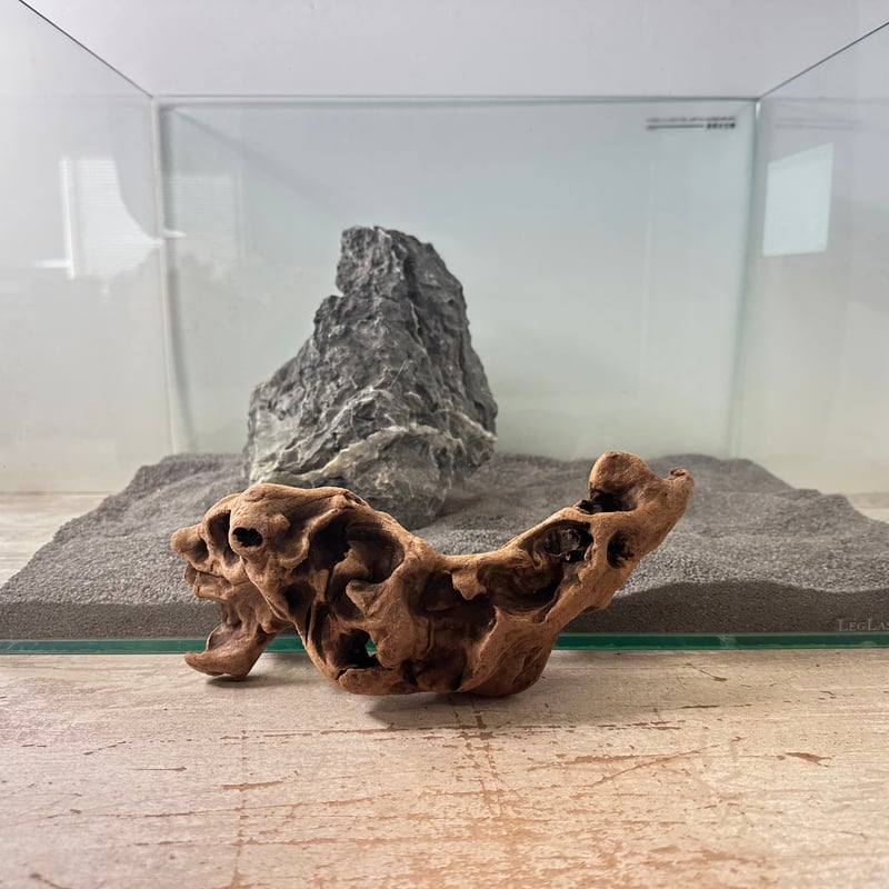 【匿名配送】マングローブ系流木 龍形 マングローブ系流木. Mサイズ(W約23cm)・オンリーワン ☆現物撮影 1点