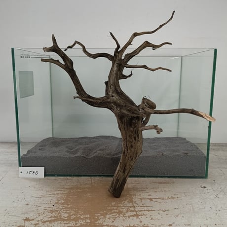 CATEGORY ブランチ系流木 | 流木専門店のアクアリバー/アクアリウム