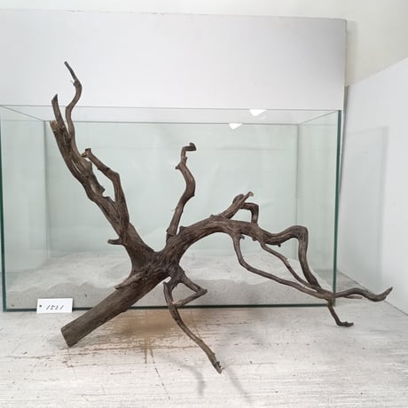 CATEGORY ブランチ系流木 | 流木専門店のアクアリバー/アクアリウム