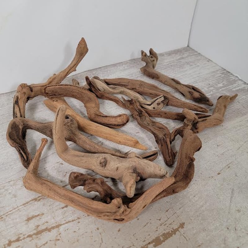 お買い得・マングローブ系ショートステック流木 3kg入(約90本