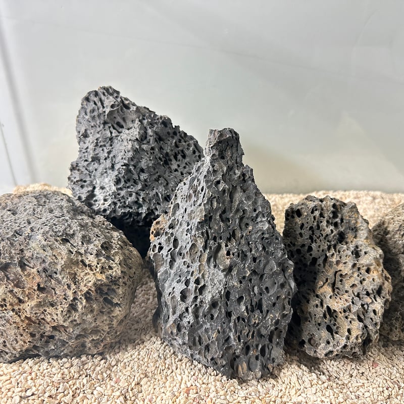 千軒石。中型 グレー 火山岩 水石 千軒石。中型 グレー 火山岩 水石