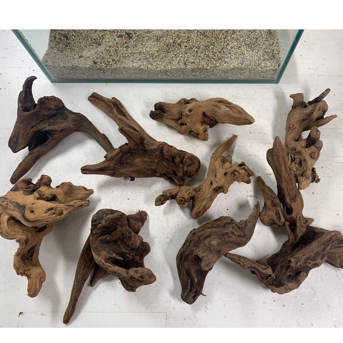 流木 約10.6㎝×7㎝×3㎝ マングローブ系流木 プチサイズ 約10～15㎝ 10本入×1セット（合計10本