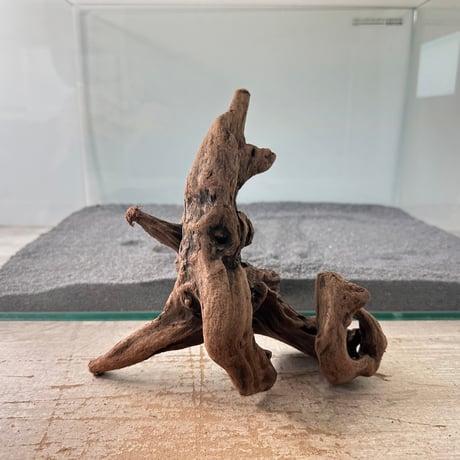 CATEGORY 流木インテリア・アクセサリー | 流木専門店のアクア