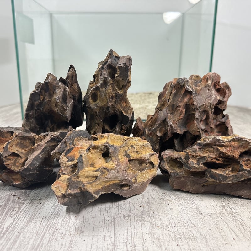Authur　気孔石　14kg Authur 気孔石 14kg アクアリウムロック 気孔石 神畑養魚