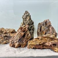気孔石Mサイズ  おまかせ５Kg（kgあたり596円)（60cm水槽）