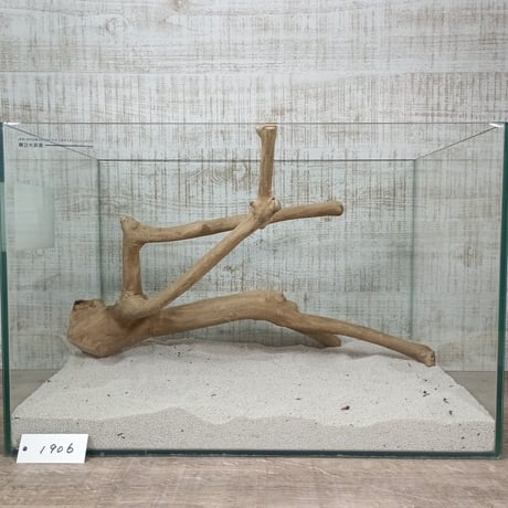 コーヒーブランチ　ダブル　NO.1906 (W約42㎝） 爬虫類のケージなどに