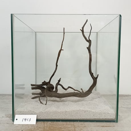 ブラックスマトラブランチ【BSB118】アクアリウム まとめ買い対応可 水槽 ブラックスマトラブランチ【BSB118】アクアリウム まとめ買い