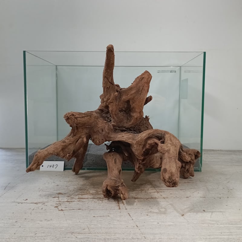 【天然一点物】極上流木 天然一点物】極上流木 天然一点物】極上流木 極上流木 の検索結果 |