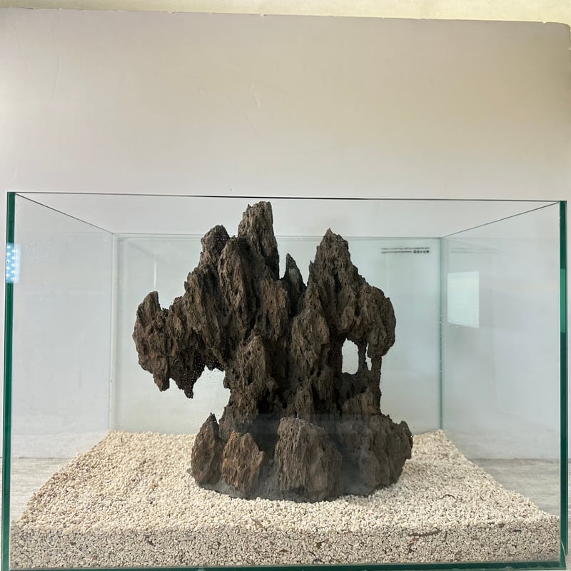 気孔石山（幅大きめ）（美型） 一点物の水槽オブジェ No. 4945