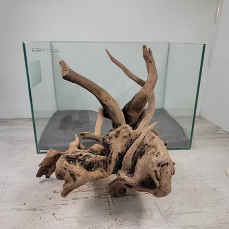 CATEGORY 2L | 流木専門店のアクアリバー/アクアリウム/グリーン