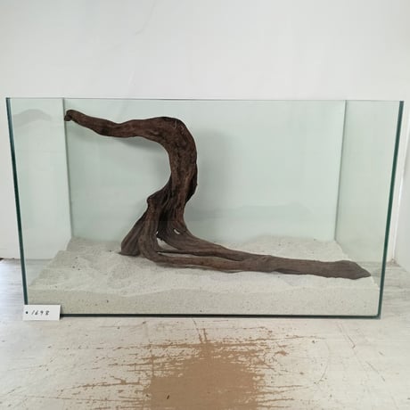 CATEGORY マングローブ系流木 | 流木専門店のアクアリバー