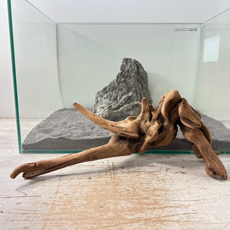 一点もの マングローブ9点まとめ売り✨レイアウト アクアリウム