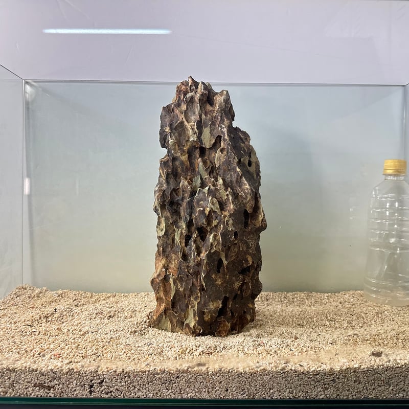 BIG気孔石 1点もの No.4968（W約17cm/H約32cm)(60cm水槽