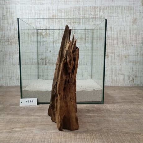 希少山型流木   Lサイズ　オンリーワン ★現物撮影  1点　No.1797(W約26㎝）  ★★オブジェ、インテリアにも★★