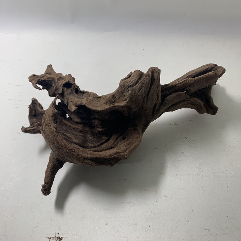 マングローブ系流木 Mサイズ 約25〜35㎝ おまかせ3本セット | 流木専門