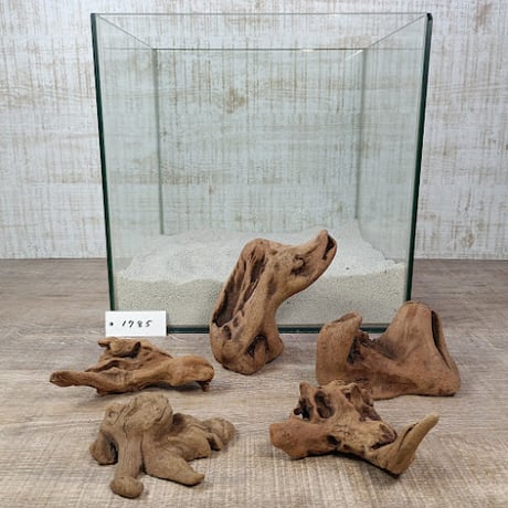 CATEGORY 30cm水槽サイズ | 流木専門店のアクアリバー/アクアリウム