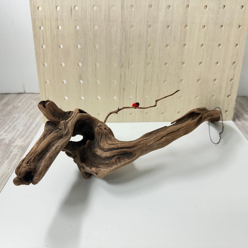 ハンギング流木 (てんとう虫装飾付き） No.4847 | 流木専門店のアクア