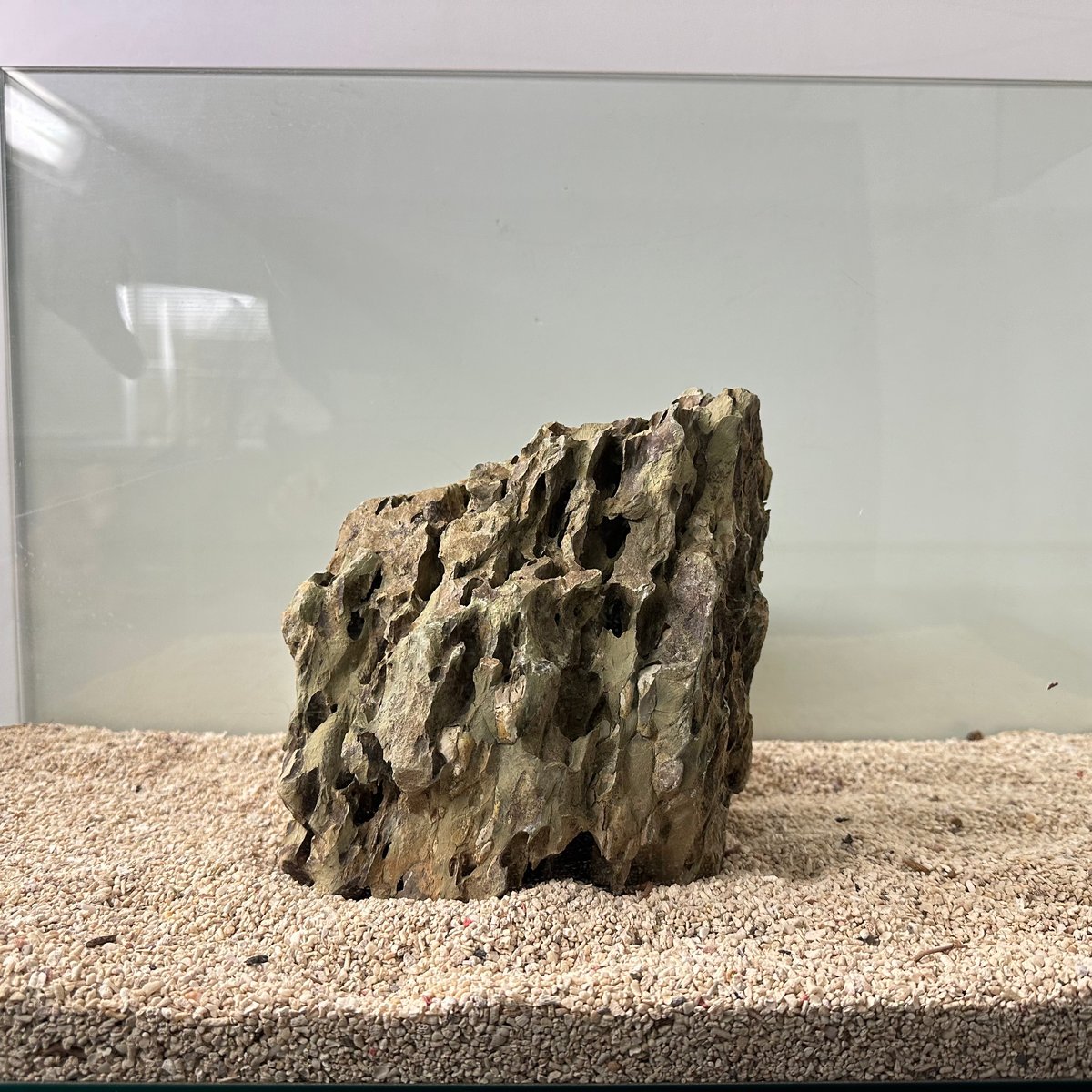 BIG気孔石塊 1点もの No.5012（W約23cm)(60cm水槽） | 流木専門店の