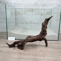 マングローブ系流木   MLサイズ　オンリーワン ★現物撮影  1点　No.1917(W約33㎝）