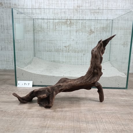 CATEGORY 水槽サイズ | 流木専門店のアクアリバー/アクアリウム