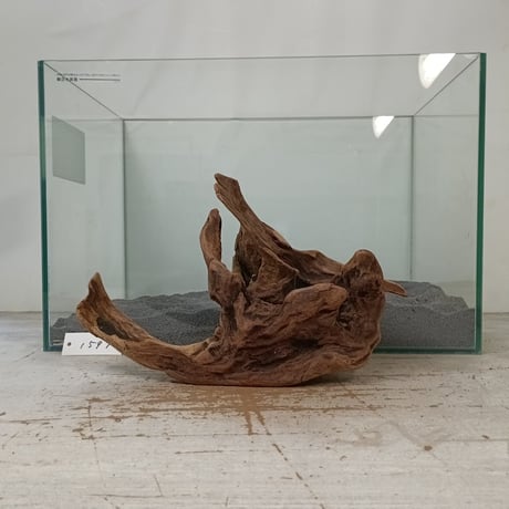 流木専門店のアクアリバー/アクアリウム/グリーンインテリア