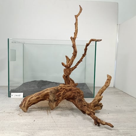 CATEGORY ブランチ系流木 | 流木専門店のアクアリバー