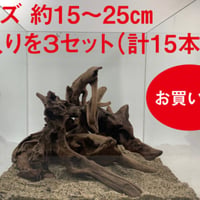 マングローブ系流木 Sサイズ15cm〜25cm  おまかせ5本×３セット（合計15本）