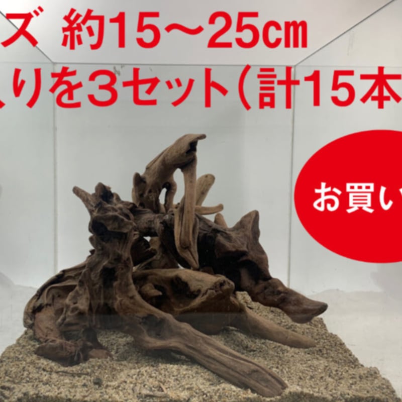 マングローブ系流木 Sサイズ15cm〜25cm おまかせ5本×3セット