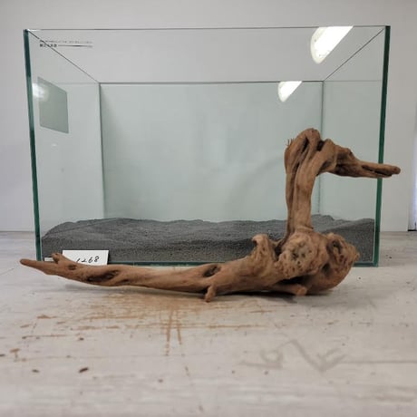 CATEGORY 流木（全種類） | 流木専門店のアクアリバー/アクアリウム