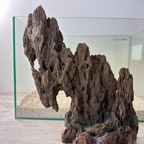 気孔石山（美型） 一点物の水槽オブジェ No. 4949  (45cm水槽)(W約26cm/H約28cm)