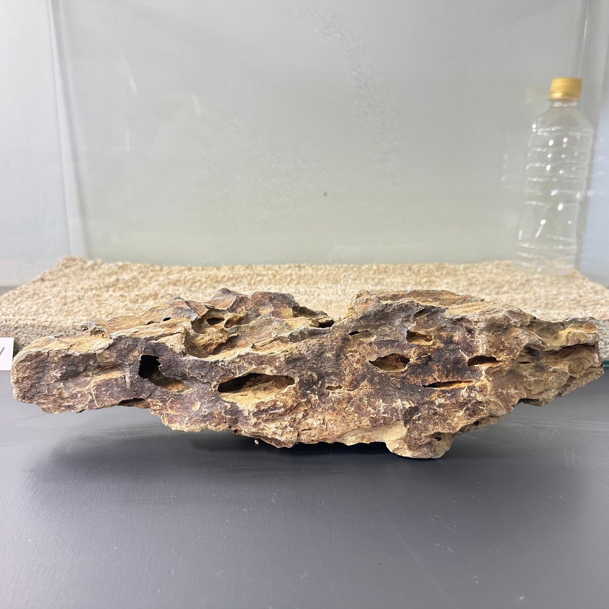 大型気孔石 Amazon | 気孔石 黄虎石 蜂炎石 水槽 アクアリウム 花壇