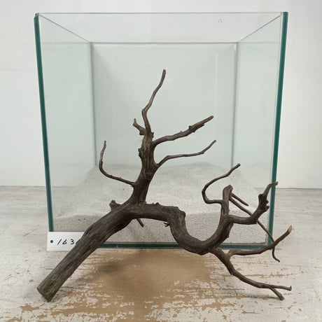 CATEGORY ブランチ系流木 | 流木専門店のアクアリバー/アクアリウム