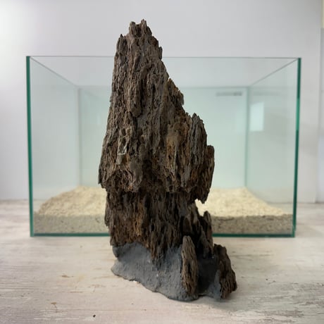 気孔石山（美型） 一点物の水槽オブジェ No. 4950  (45cm水槽)(W約23cm/H約29cm)