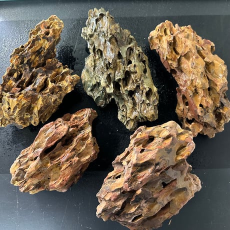 気孔石Mサイズ  おまかせ５Kg（kgあたり596円)（60cm水槽）