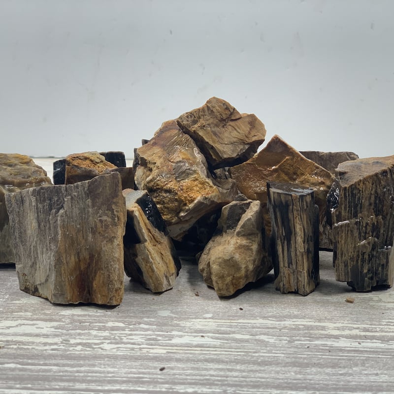 木化石　アクアリウム　まとめ売り hq720.jpg?sqp=-