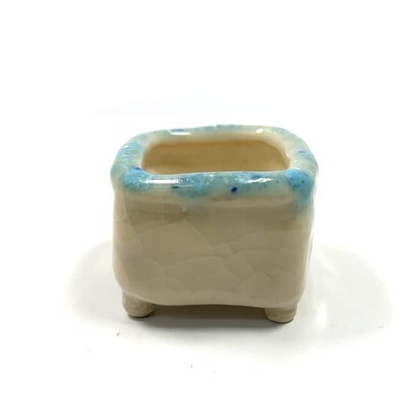 ミニ盆栽鉢　玉木啓子造   No.31　【サイズ40mm以下】１点もの現物撮影