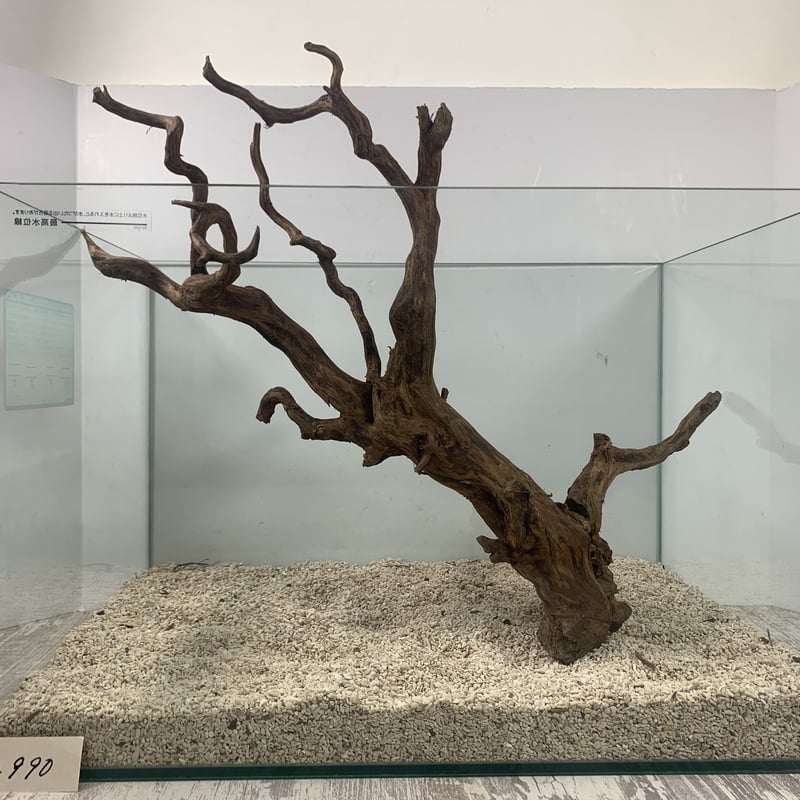 アクアリウム用流木12本セット アクアリウム用流木12本セット