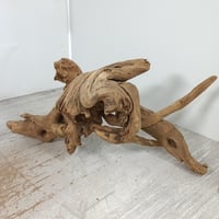 エアプランツ用流木 吊り下げ型 No.2001 | 流木専門店のアクアリバー