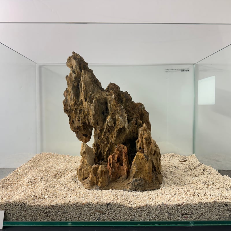 気孔石山（美型） 一点物の水槽オブジェ No. 5068 (45cm水槽)(W